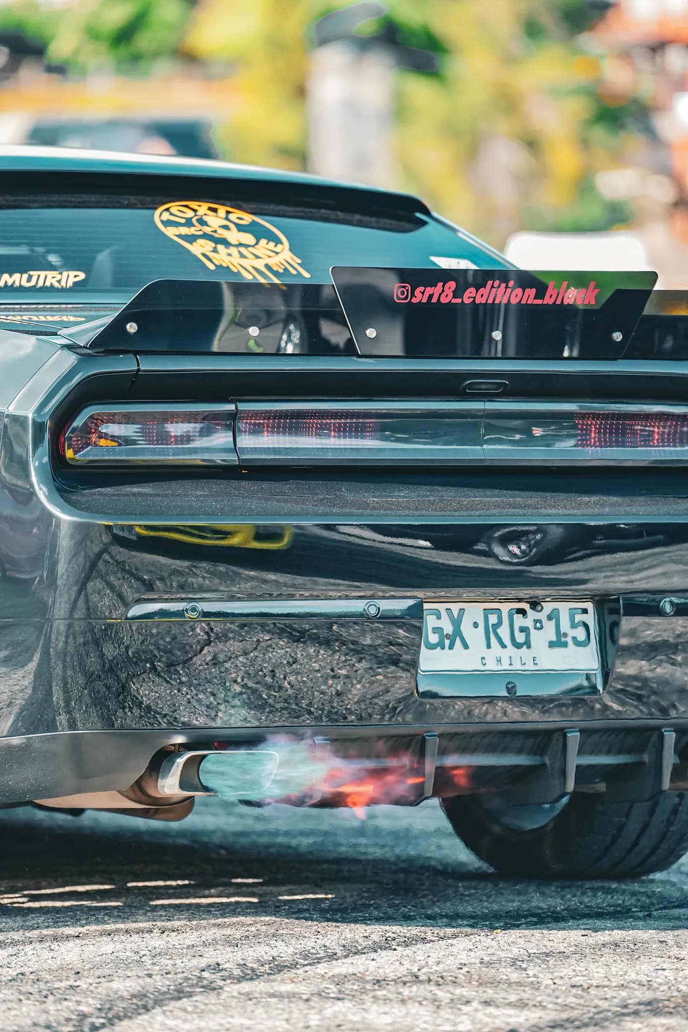 Experiencia Elite Motor Show — ThiagoM-516